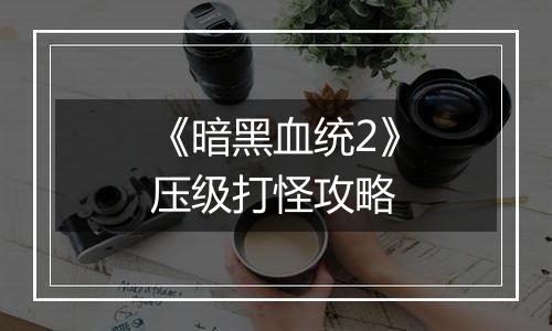 《暗黑血统2》压级打怪攻略