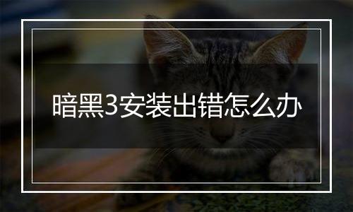 暗黑3安装出错怎么办