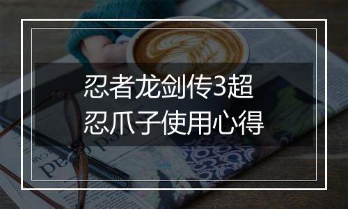 忍者龙剑传3超忍爪子使用心得