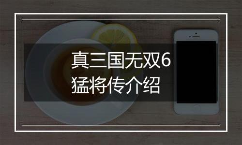 真三国无双6猛将传介绍