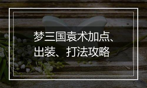 梦三国袁术加点、出装、打法攻略