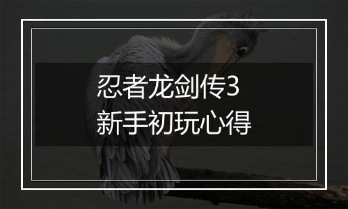 忍者龙剑传3新手初玩心得