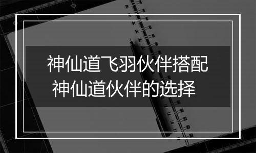 神仙道飞羽伙伴搭配 神仙道伙伴的选择
