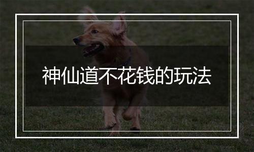 神仙道不花钱的玩法