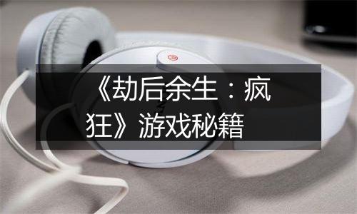 《劫后余生：疯狂》游戏秘籍