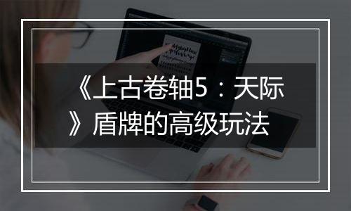 《上古卷轴5：天际》盾牌的高级玩法