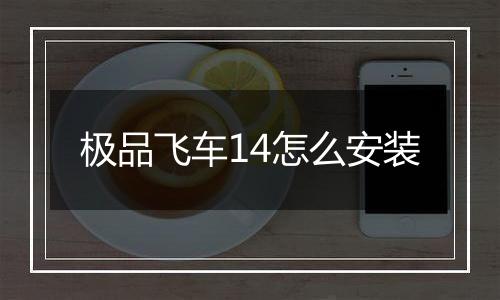 极品飞车14怎么安装