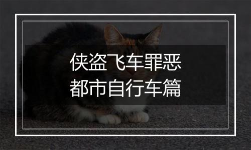 侠盗飞车罪恶都市自行车篇