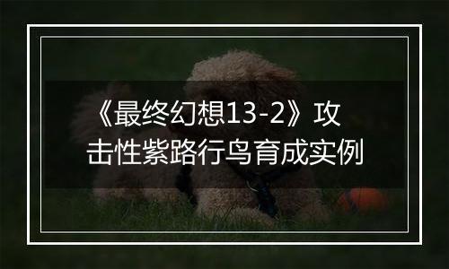 《最终幻想13-2》攻击性紫路行鸟育成实例