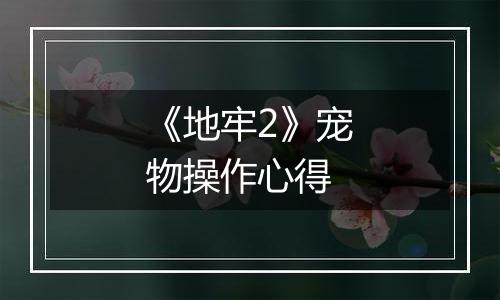 《地牢2》宠物操作心得