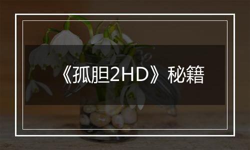 《孤胆2HD》秘籍