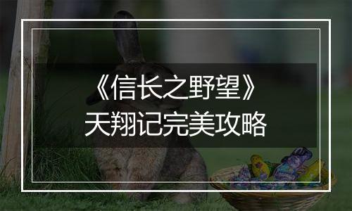 《信长之野望》天翔记完美攻略