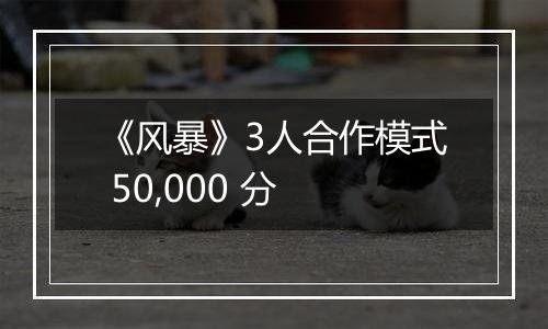 《风暴》3人合作模式 50,000 分