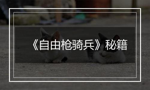 《自由枪骑兵》秘籍