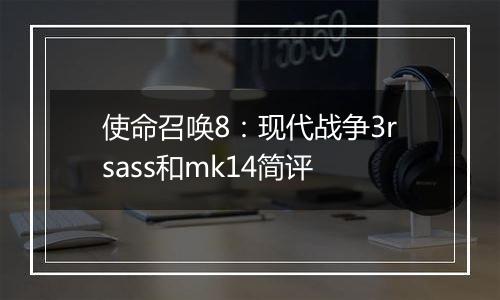 使命召唤8：现代战争3rsass和mk14简评