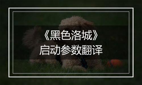 《黑色洛城》启动参数翻译