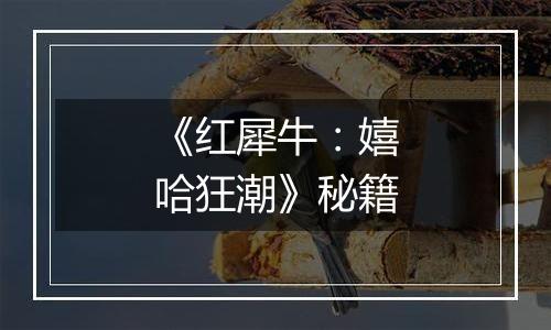 《红犀牛：嬉哈狂潮》秘籍