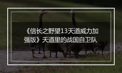 《信长之野望13天道威力加强版》天道里的战国自卫队