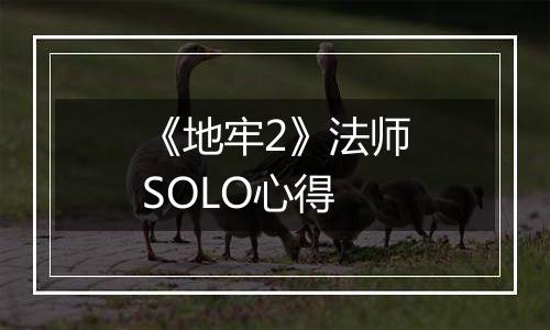 《地牢2》法师SOLO心得