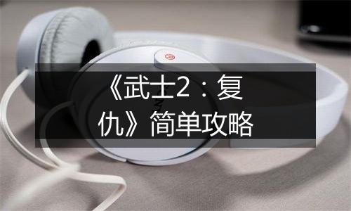 《武士2：复仇》简单攻略