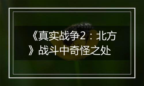 《真实战争2：北方》战斗中奇怪之处