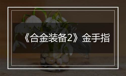 《合金装备2》金手指