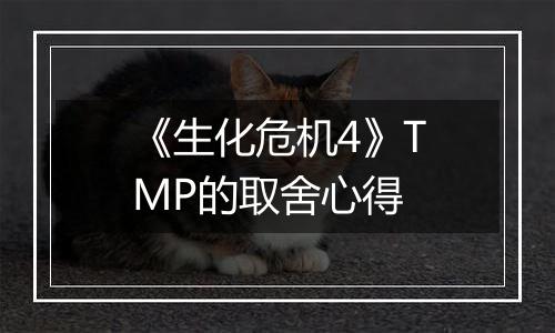 《生化危机4》TMP的取舍心得