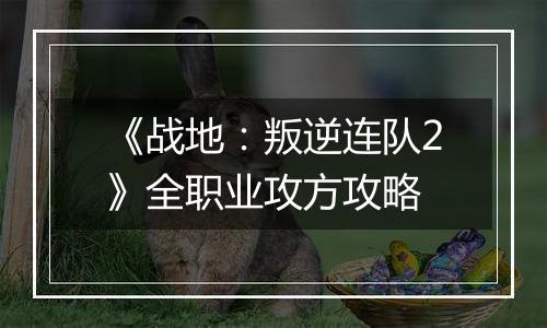 《战地：叛逆连队2》全职业攻方攻略