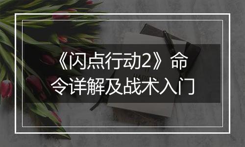 《闪点行动2》命令详解及战术入门