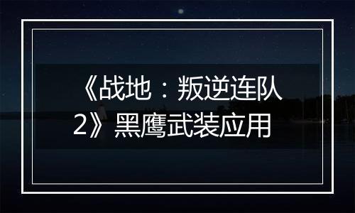 《战地：叛逆连队2》黑鹰武装应用