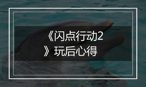 《闪点行动2》玩后心得