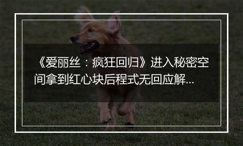 《爱丽丝：疯狂回归》进入秘密空间拿到红心块后程式无回应解决方法