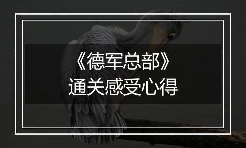 《德军总部》通关感受心得