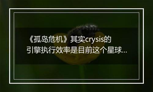 《孤岛危机》其实crysis的引擎执行效率是目前这个星球上最高的
