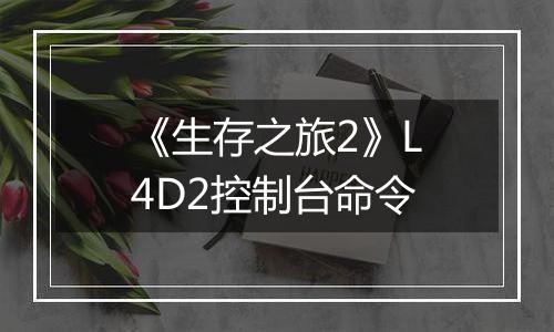 《生存之旅2》L4D2控制台命令