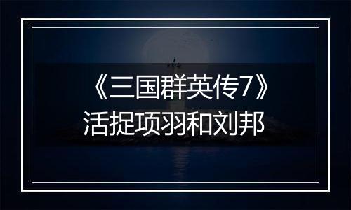 《三国群英传7》活捉项羽和刘邦