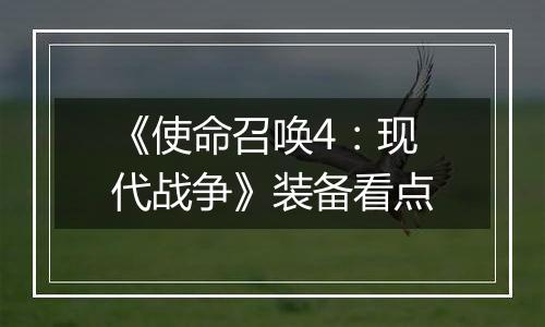 《使命召唤4：现代战争》装备看点