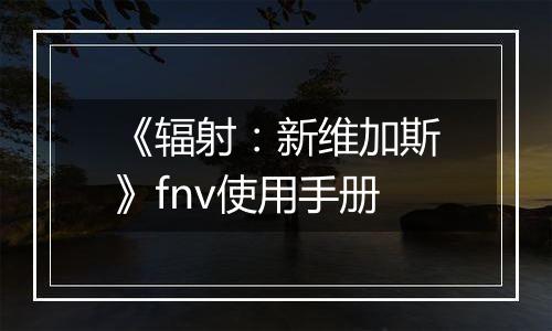 《辐射：新维加斯》fnv使用手册