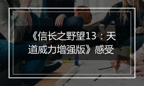 《信长之野望13：天道威力增强版》感受