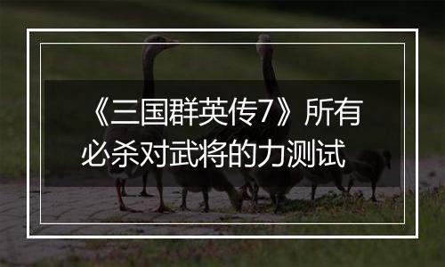 《三国群英传7》所有必杀对武将的力测试