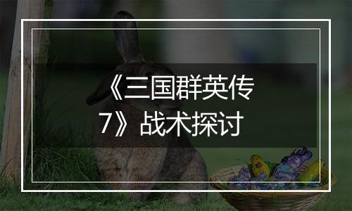 《三国群英传7》战术探讨