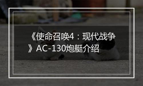 《使命召唤4：现代战争》AC-130炮艇介绍