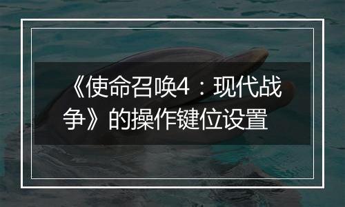 《使命召唤4：现代战争》的操作键位设置