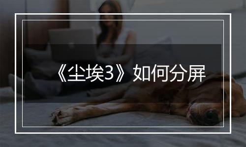 《尘埃3》如何分屏