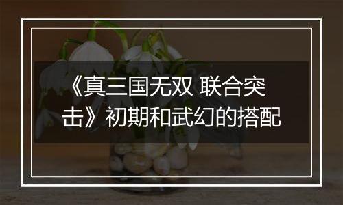 《真三国无双 联合突击》初期和武幻的搭配