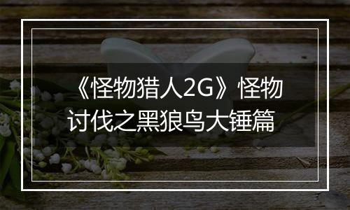 《怪物猎人2G》怪物讨伐之黑狼鸟大锤篇