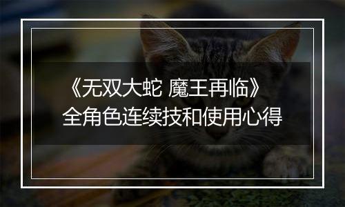 《无双大蛇 魔王再临》全角色连续技和使用心得