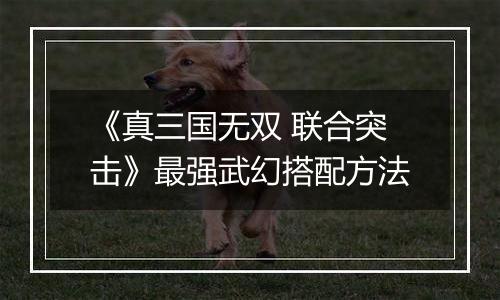 《真三国无双 联合突击》最强武幻搭配方法