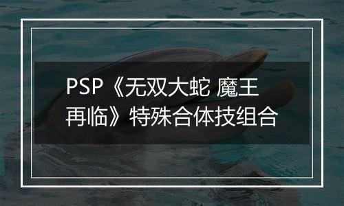 PSP《无双大蛇 魔王再临》特殊合体技组合