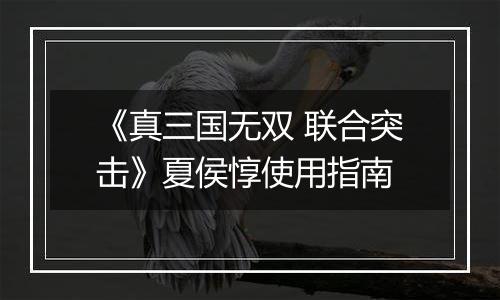 《真三国无双 联合突击》夏侯惇使用指南